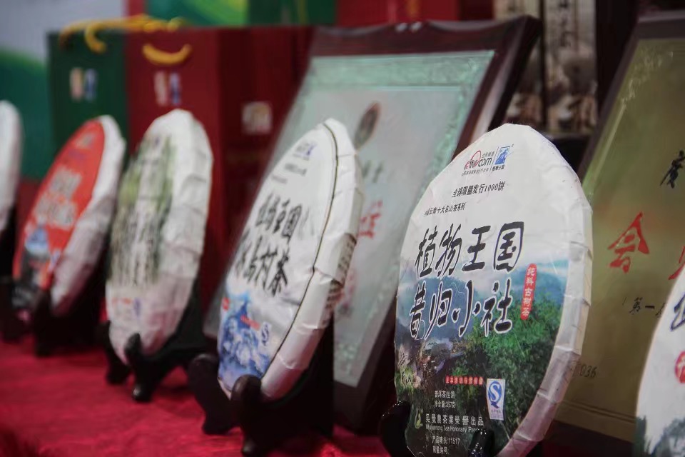 2015年广州茶博会(图7)