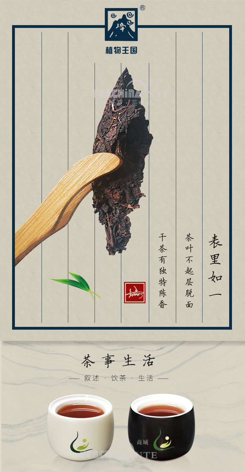 宁州神韵（金牙熟饼）(图5)